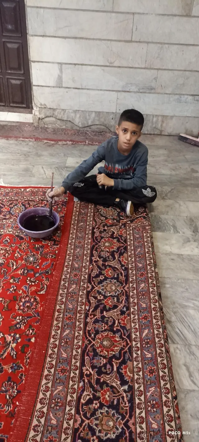 حبیب