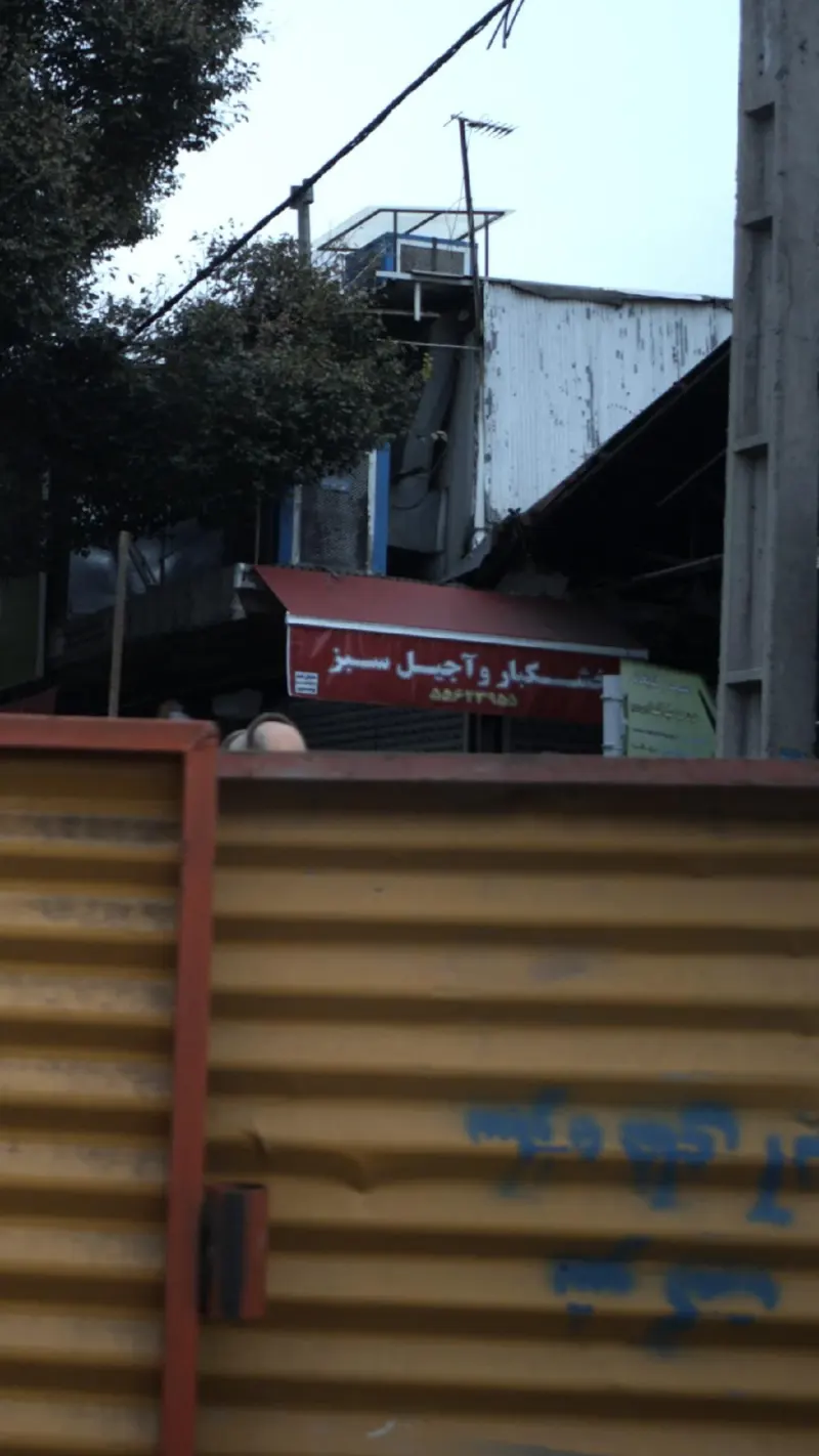 خشکبار و آجیل سبز
