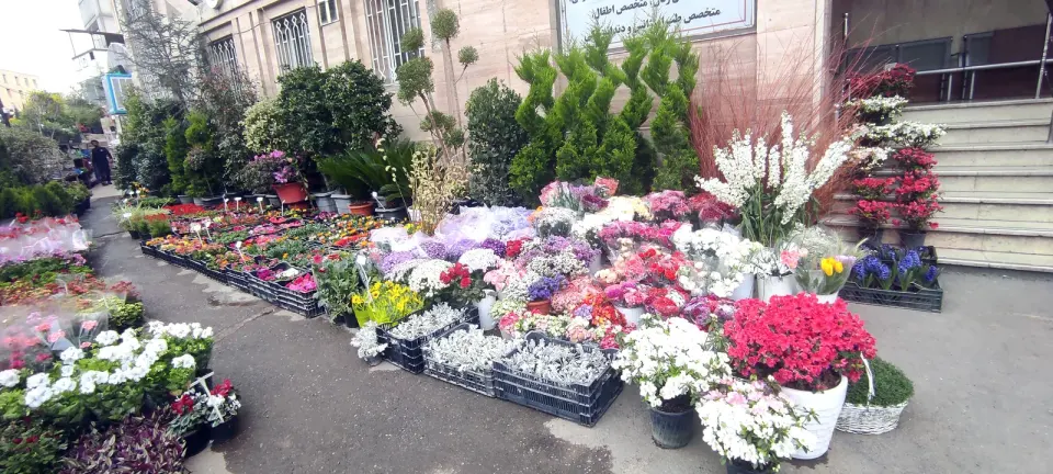 موسسه کشاورزی آرش