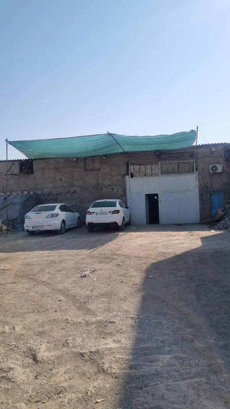 ونیزچوب