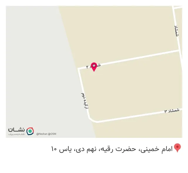 تولیدی کفش بست اسپورت