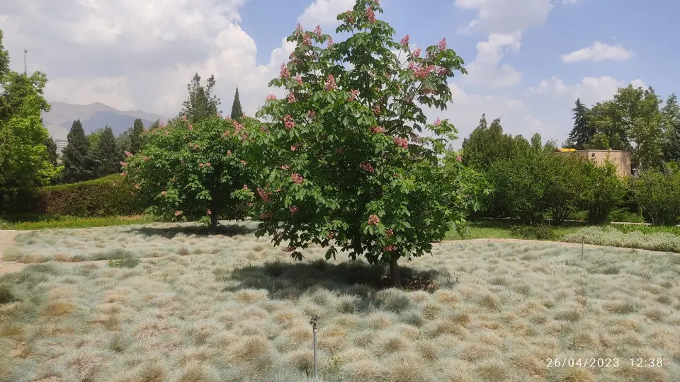 موزه گیاهشناسی