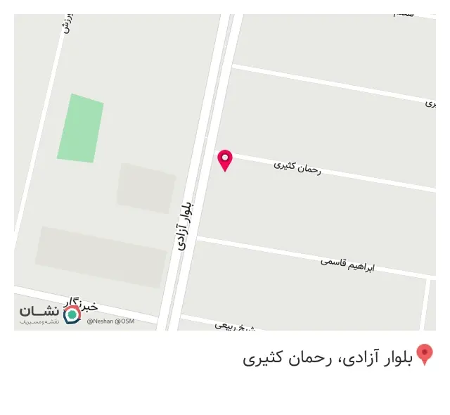 مواد غذایی امیر خان