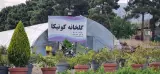 گلخانه کونیکا