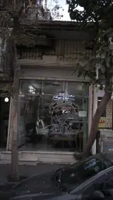 پیرایش آرین