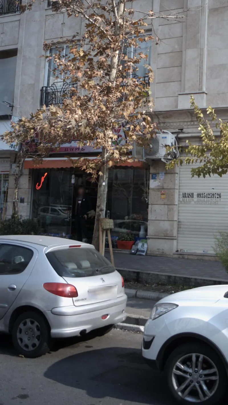 گل سرای آلسترو مریا