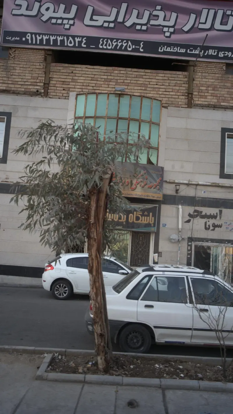 تالار پذیرایی پیوند