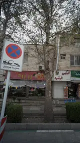 گل فروشی رززرد