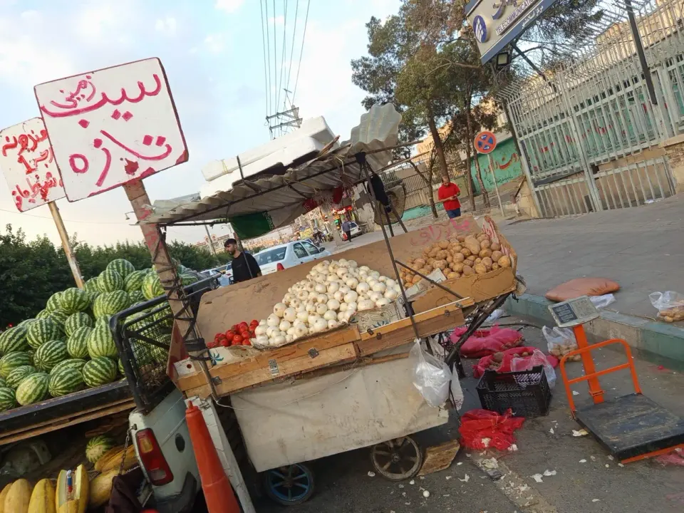 میوه و سبزی آناتا