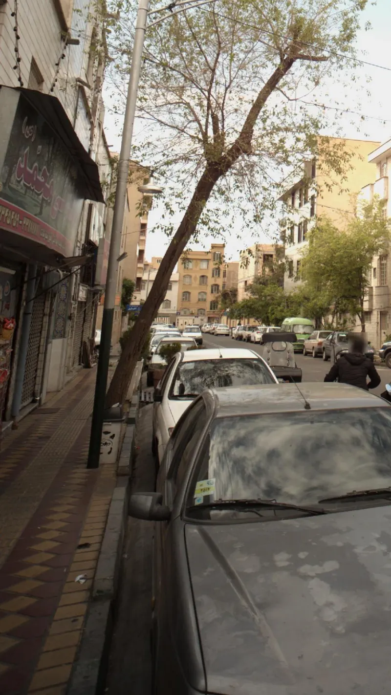 مواد غذایی محمد