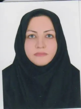 وکیل اکرم بیرانوند
