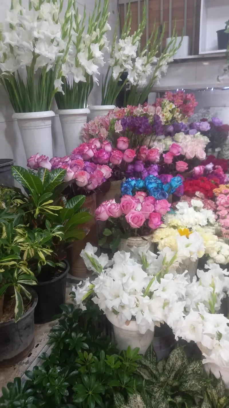 قصر گل شقایق