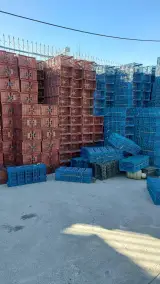 سبد فروشی شهریار