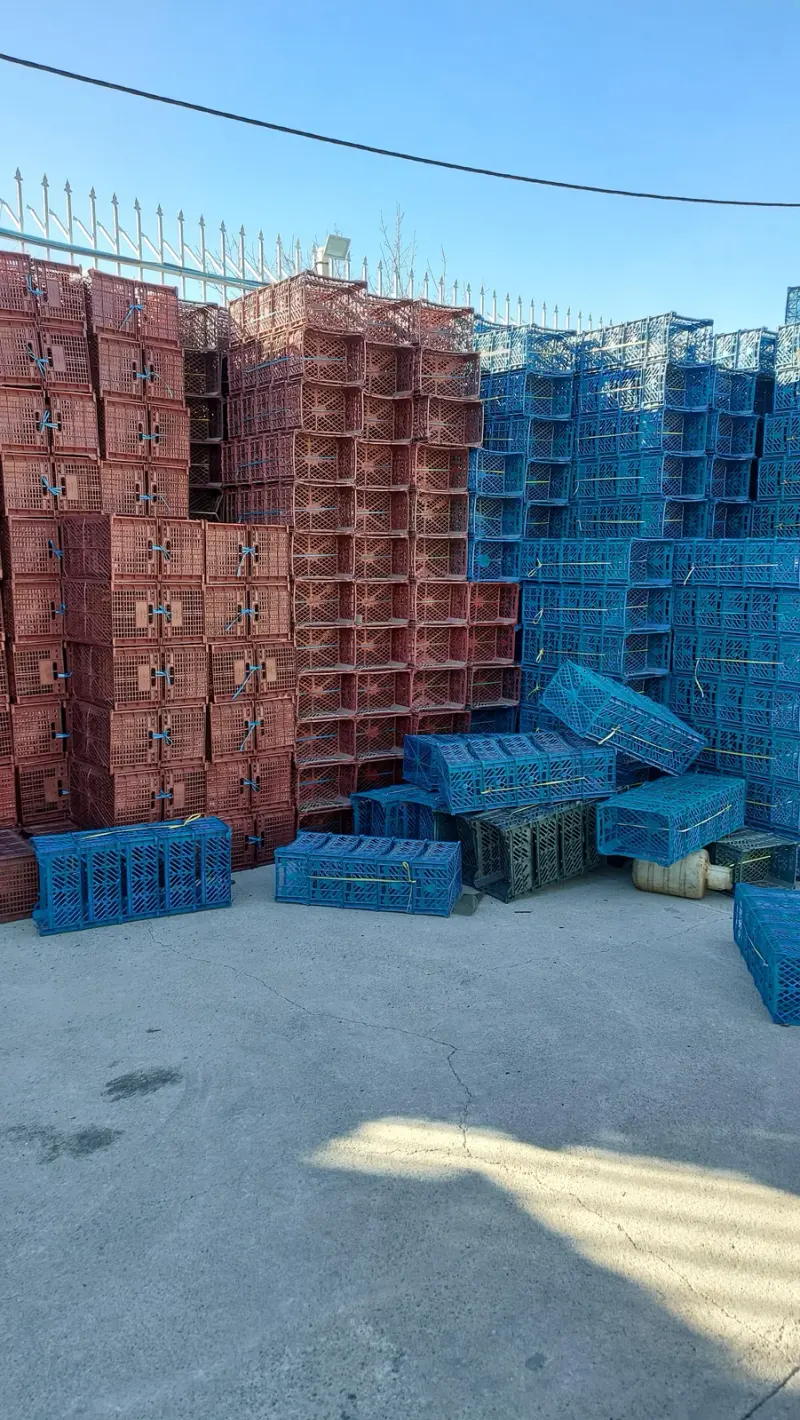 سبد فروشی شهریار