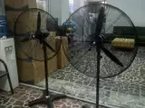 اجاره کولر گازی ایستاده، پنکه مهپاش، کولر آبی