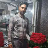 گل احمدی