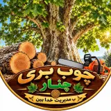 چوب بری و برش قامه چوب صنعتی چنار مهدی خدابین در قزوین