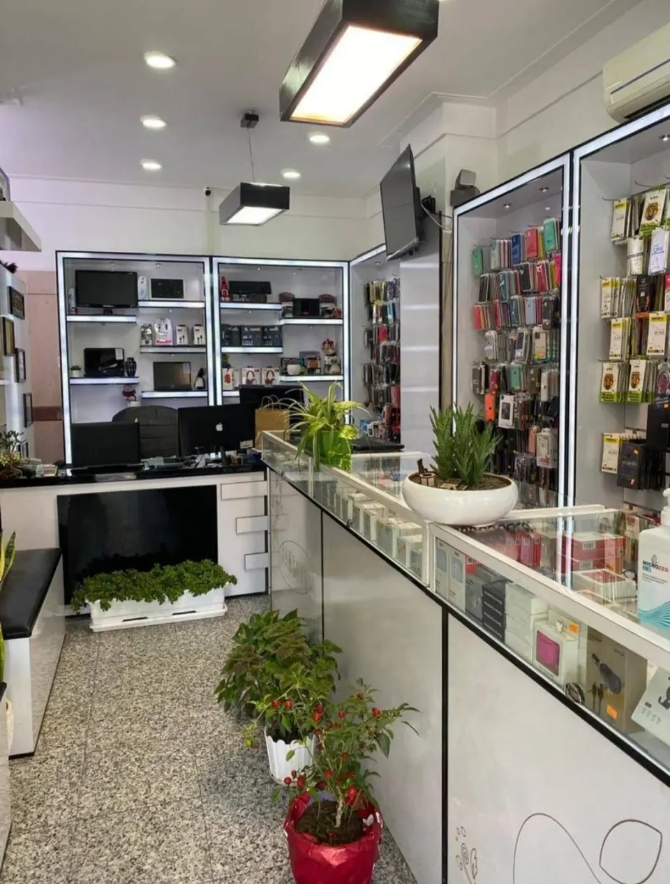 موبایل تایگر