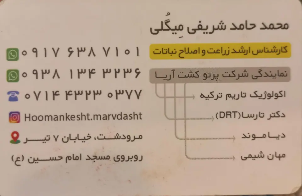فروشگاه کشت و صنعت مرودشت