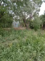 باغچه برادران انتظاری