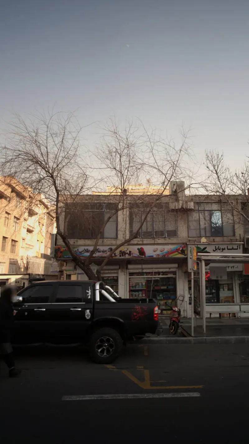 پت شاپ پرنده پر طلایی امیر قبادی