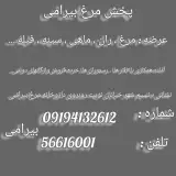 مرغ فروشی بیرامی