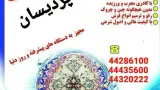 قالیشویی امیران شعبه غرب