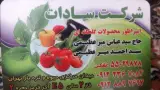 میوه فروشی میرعظیمی