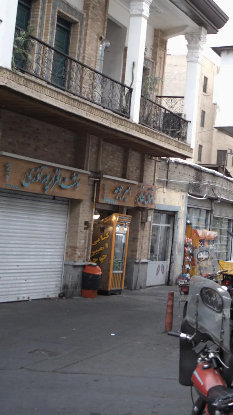 امیر جوجه
