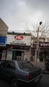 مواد غذایی سادات