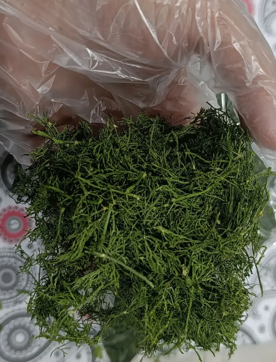سبزی آماده شمیم