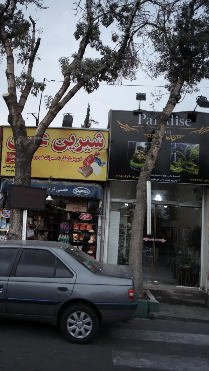 تولیدی پوشاک باقری
