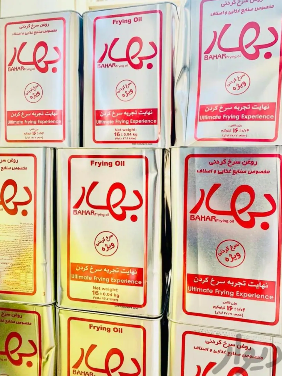 روغنکده شایان نظری