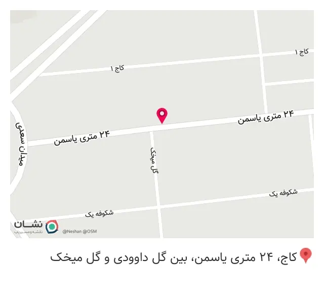 ظروف یکبارمصرف تک