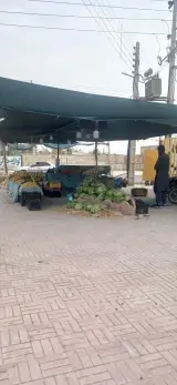 میوه فروشی بارکزهی