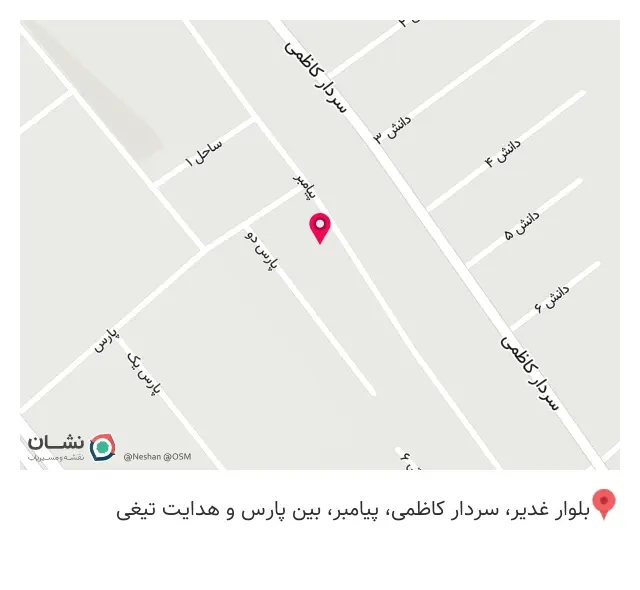 دزدگیر 110