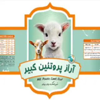 شرکت مرغابی