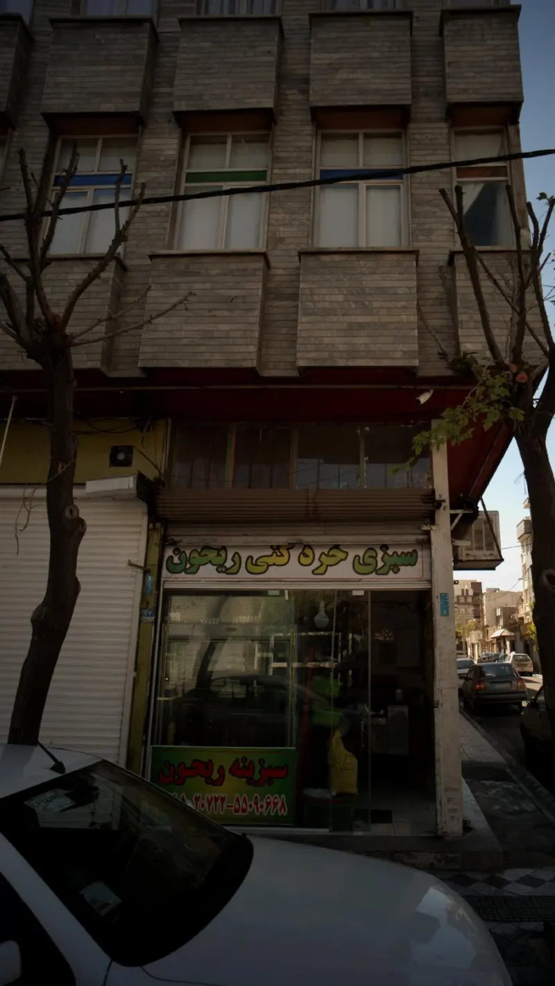 سبزی خردکنی ریحون
