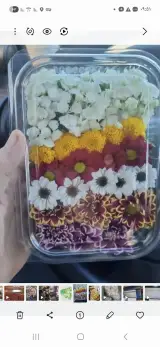 شرکت پخش میوه تره بار سانیار