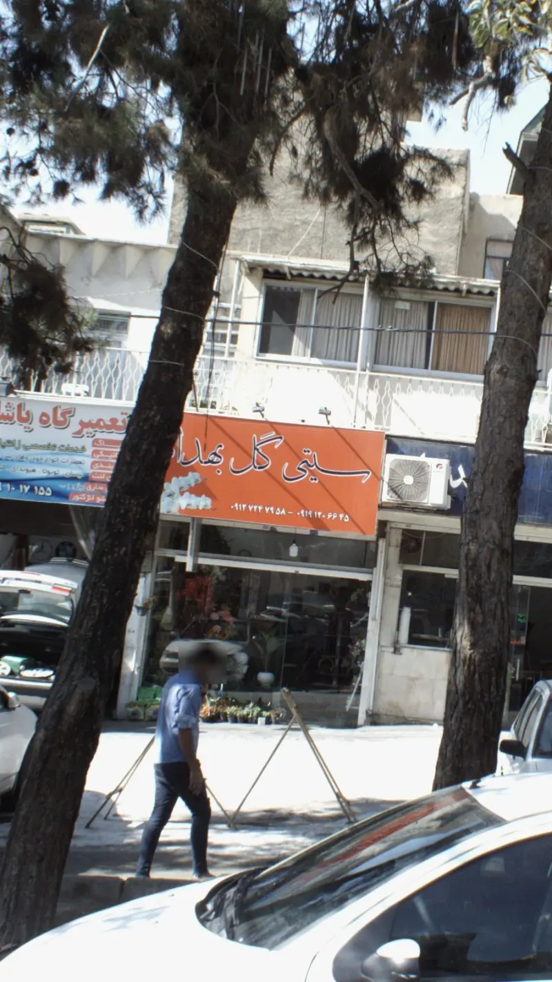 سیتی گل