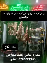 شهر پروتئین هلما