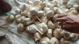 مرکز سیر همدان