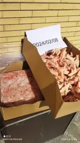 صادرات پای و پنجه مرغ