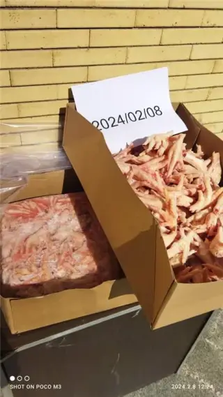 صادرات پای و پنجه مرغ