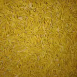 برنج چمپا میداوود و رامهرمزبامدیرت بوکان