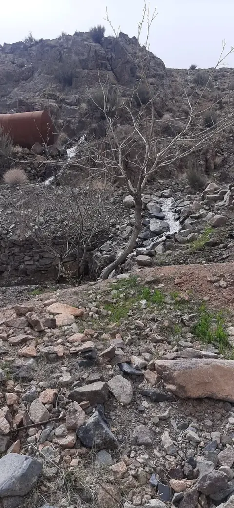 بوفه سن سون