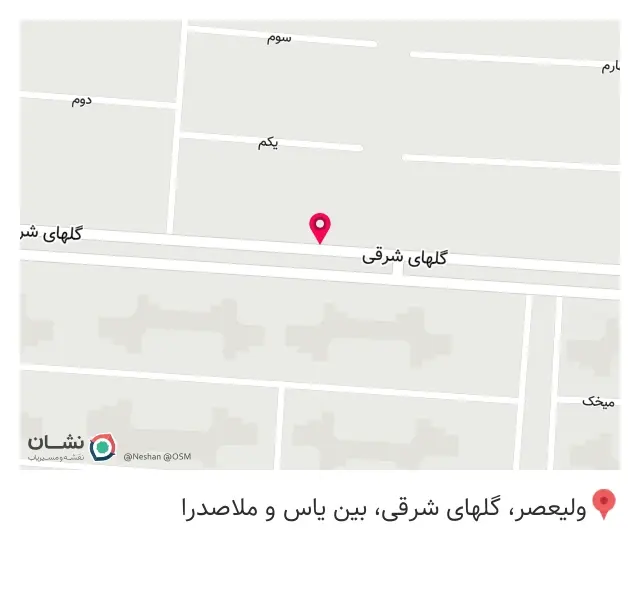 پت شاپ دن ریز