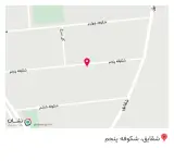 موسی نسب
