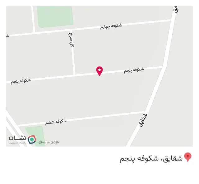 موسی نسب