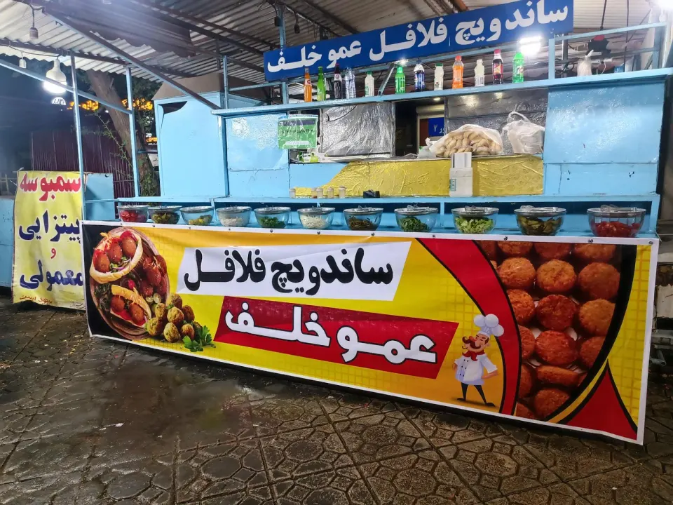ساندویچ فلافل پیچک